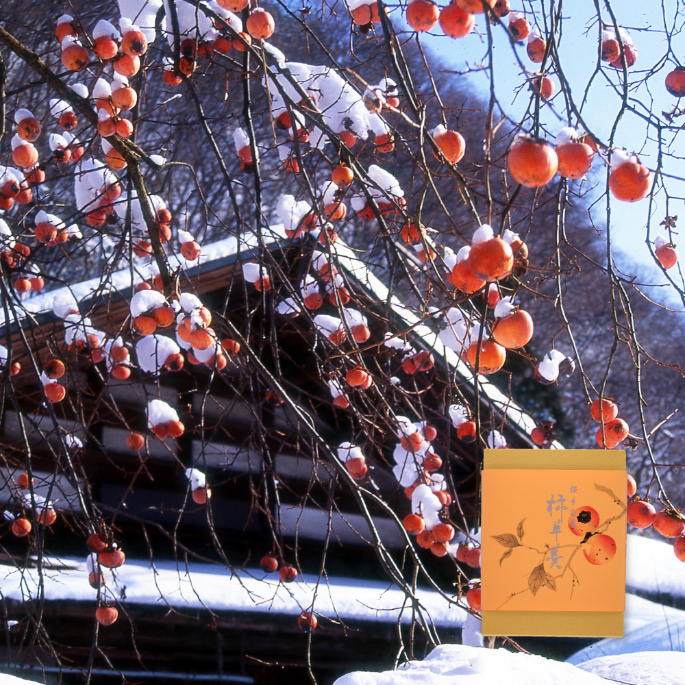 写真：冬の風景と柿洋カン